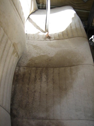 South African Citro�n GS, click to enlarge